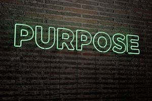 follow your passion or purpose follow your passion or purpose